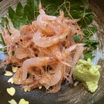 Nihon Ryouri Matsui - 生桜エビ かき揚げなども美味しいがやはり生で食したい。