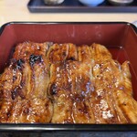 Unagi Kanebako - 