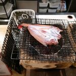山陰鮮魚 炭火焼 居酒屋 地力 - 