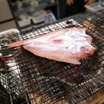 山陰鮮魚 炭火焼 居酒屋 地力 - 