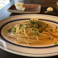 カステリーナ -  カステリーナ -