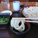 鳴門製麺 - 料理写真:ざるうどん