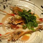 アロマフレスカ - 