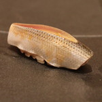 三谷 - 羽田 の こはだ、十四代　中取り純米　無濾過 本生 で　(2014/02)