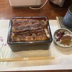 Unagi Ikeda - 