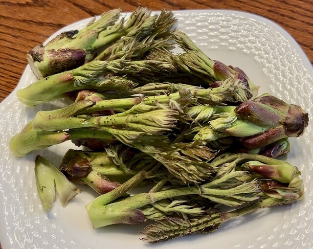 三春の里 かご市 - 舞木（その他）の写真