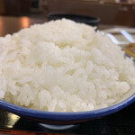 味一番！九州ラーメン 博多っ子 新宿店 - 