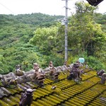 やちむん喫茶シーサー園 - 2階席　縁側からの眺め