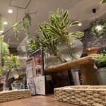 やさいの王様 日比谷シャンテ店 - 