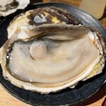 牡蠣の朋 - 生岩牡蠣