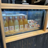 DUGOUT - 