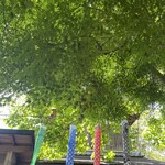 山辺の道 花もり - 