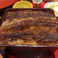 炭焼 うな富士 有楽町店 - 