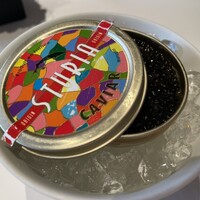 アランチーノ KYOTO - 