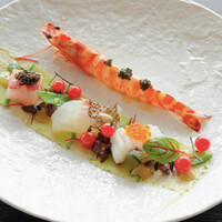 Mar Rosso - 