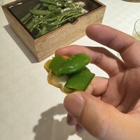 デルフィーナ - 