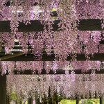 蔓牛焼肉 太田家 - 