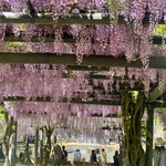 蔓牛焼肉 太田家 - 