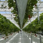 GREENARIUM awajishima - 