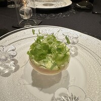 Élan - 