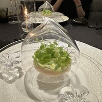 Élan - 