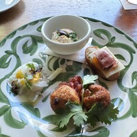 CICADA - Tasting Course ¥5800