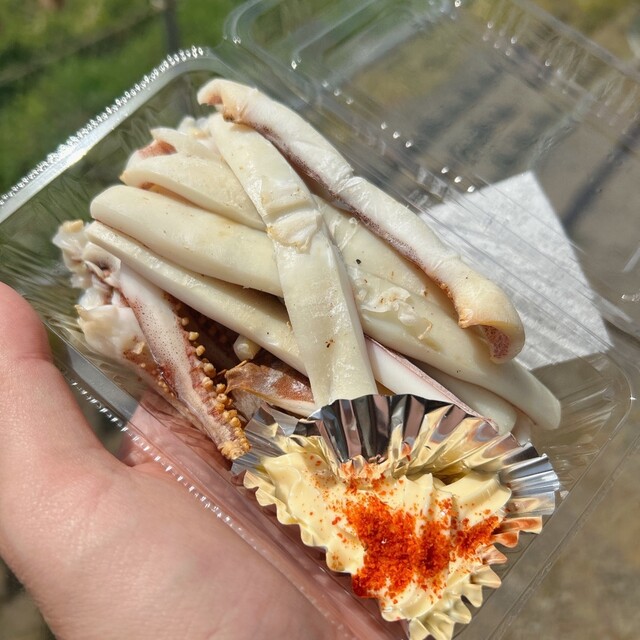 磯舟焼いか &ndash; 岩館（日本料理）｜秋田・八峰町の海鮮居酒屋で絶品焼きイカを堪能