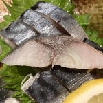 十三屋 大光 - とろサバきずし（500円＋税）
      繊維に対して直角に切ると身が虹色に光る
      燐光（りんこう）現象と呼ばれるもの