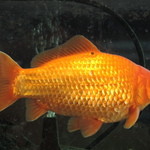 REB - 店内で・・・