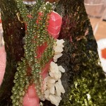 奥新 鮨屋のうおきん - 