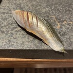 奥新 鮨屋のうおきん - 