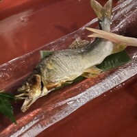 京料理 先斗町 富美家 - 