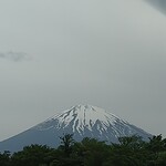 Fuji Asagiri Fuji Mirukurando - SAからパチリ