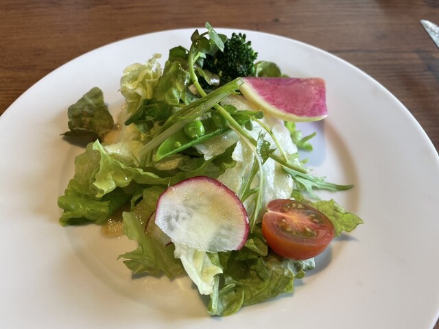 Bichotan Sumi Italian So photo 2