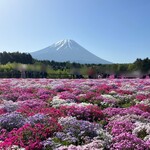 PeterRabbit EnglishGarden The Cafe - 壮大な富士山と、色鮮やかな芝桜のコントラストが美しく…
                                大パノラマの絶景です！！
                                *･゜ﾟ･*:.｡..｡.:*･'(*ﾟ▽ﾟ*)'･*:.｡. .｡.:*･゜ﾟ･*