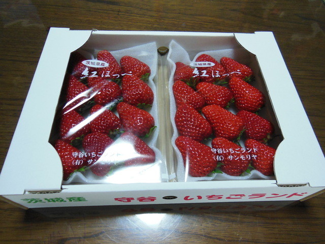 サンモリヤ - 南守谷/その他 | 食べログ