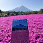 PeterRabbit EnglishGarden The Cafe - 家族で富士芝桜まつりに行って来ました♪