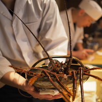 温石 - 伊勢海老、カーリーケール