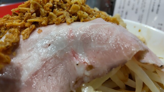 ソバ（5点） GUNZE スクールソックス グンゼ POLO ワンポイント ハイソックス