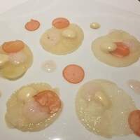 レフェルヴェソンス - 