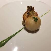 レフェルヴェソンス - 