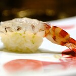 鮨 井上 - 車海老