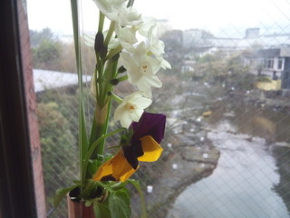 和多屋別荘 - 途中にも生花の活け花。川にある白いのは和紙の灯篭です。
