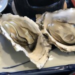 ムラカミヤ - 殻付き生牡蠣