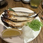 四十八漁場 - 鯵