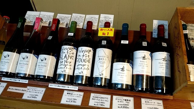 タケダワイナリー - 茂吉記念館前（その他）の写真