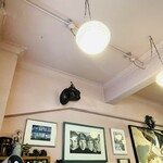 カンファーツリー - 