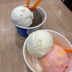 ブルーシール - 