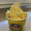 Dole Plantation