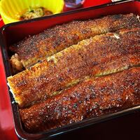 炭焼うな富士 白壁別邸 - 